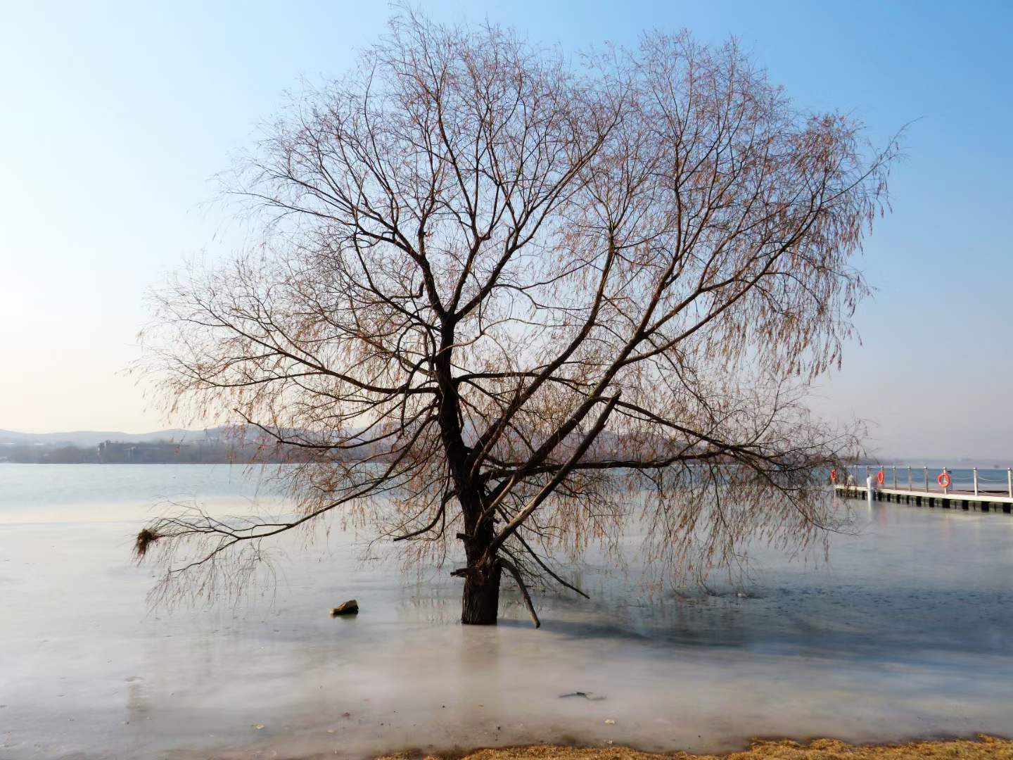 美丽的蟠龙湖